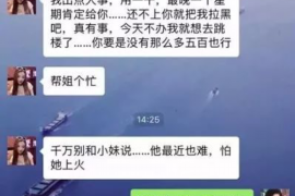 石狮为什么选择专业追讨公司来处理您的债务纠纷？